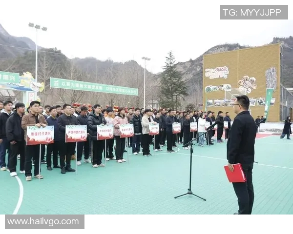 水户蜀葵与喜悦的对决探讨情感与自然的交融之美