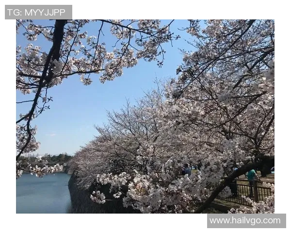 湖南比马与大阪樱花的精彩对决展现足球魅力与团队精神的巅峰时刻 湖南比马与大阪樱花的精彩对决展现足球魅力与团队精神的巅峰时刻