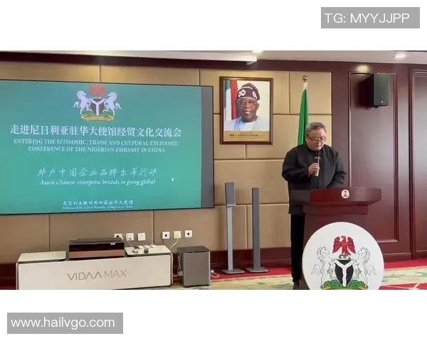 中国与尼日利亚的文化碰撞与交流探讨之旅